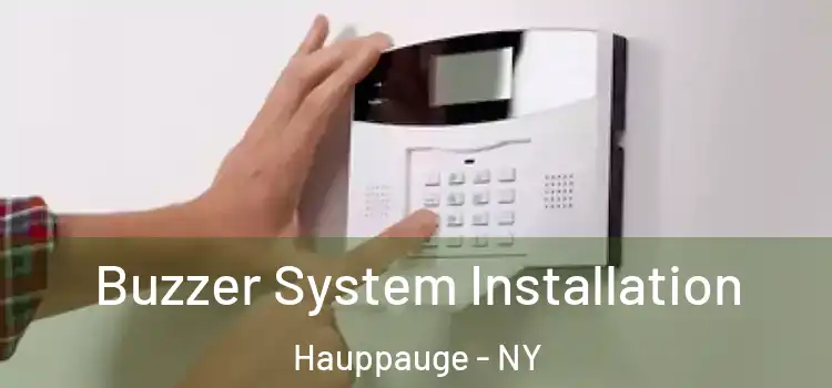 Buzzer System Installation Hauppauge - NY
