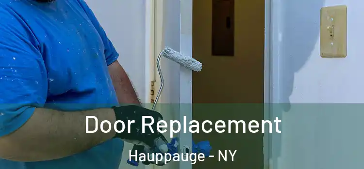 Door Replacement Hauppauge - NY