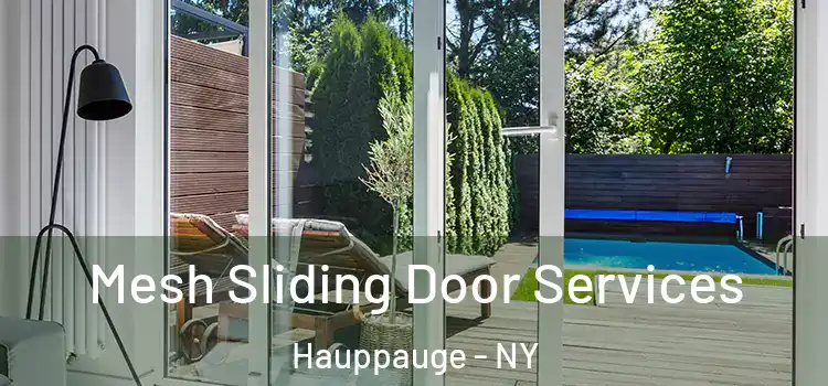 Mesh Sliding Door Services Hauppauge - NY