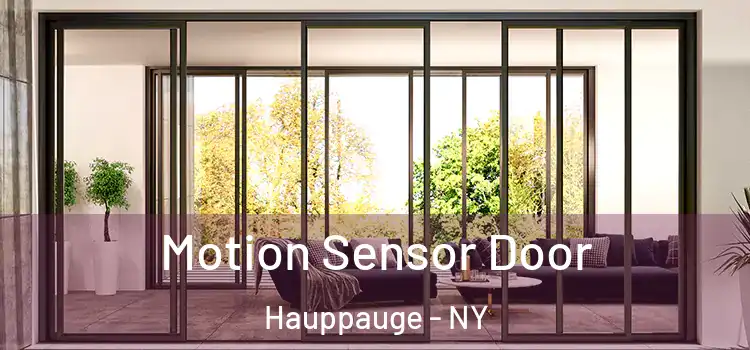 Motion Sensor Door Hauppauge - NY